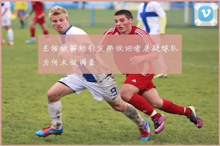 王栋被解约引发热议记者质疑球队为何未做调查